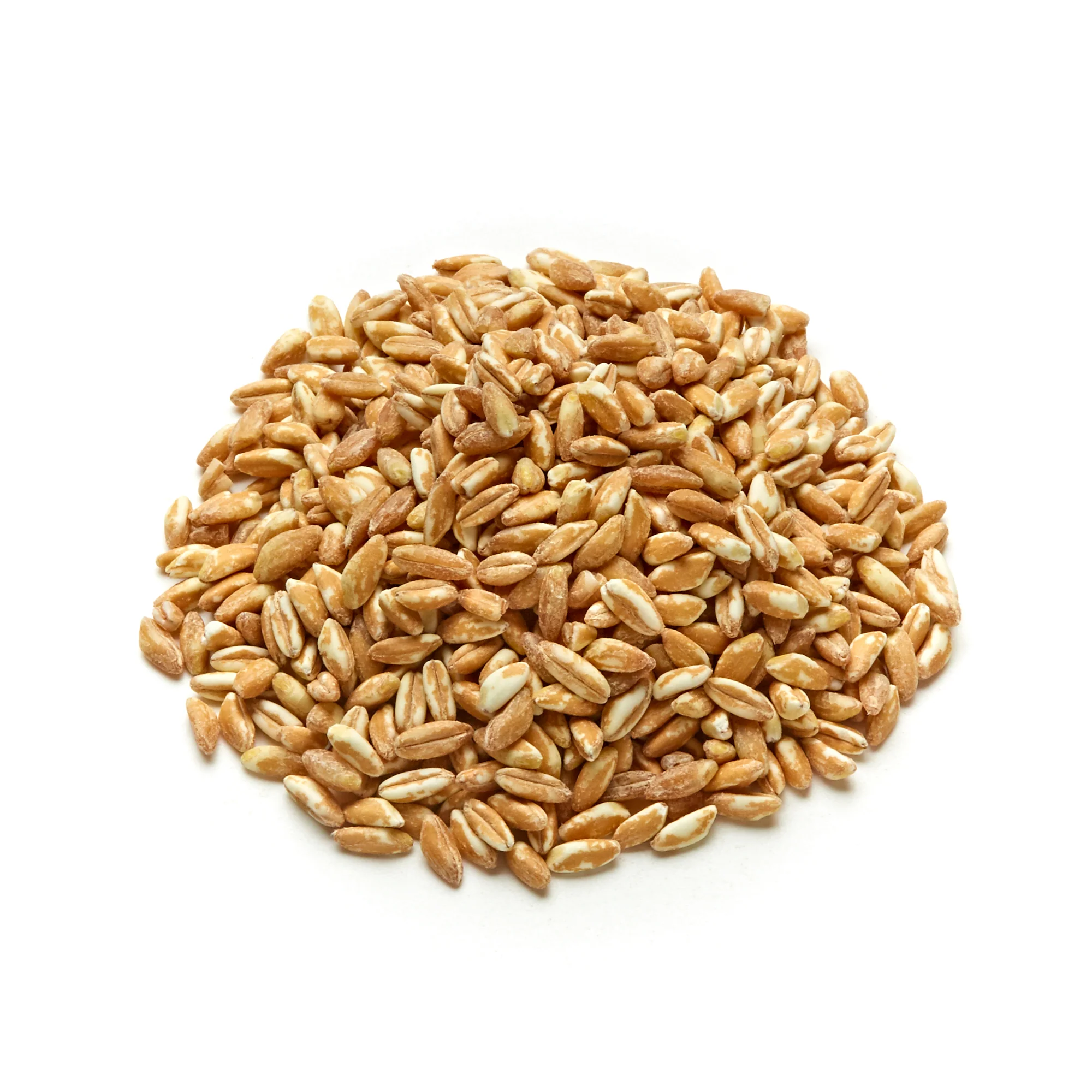 Farro Grain