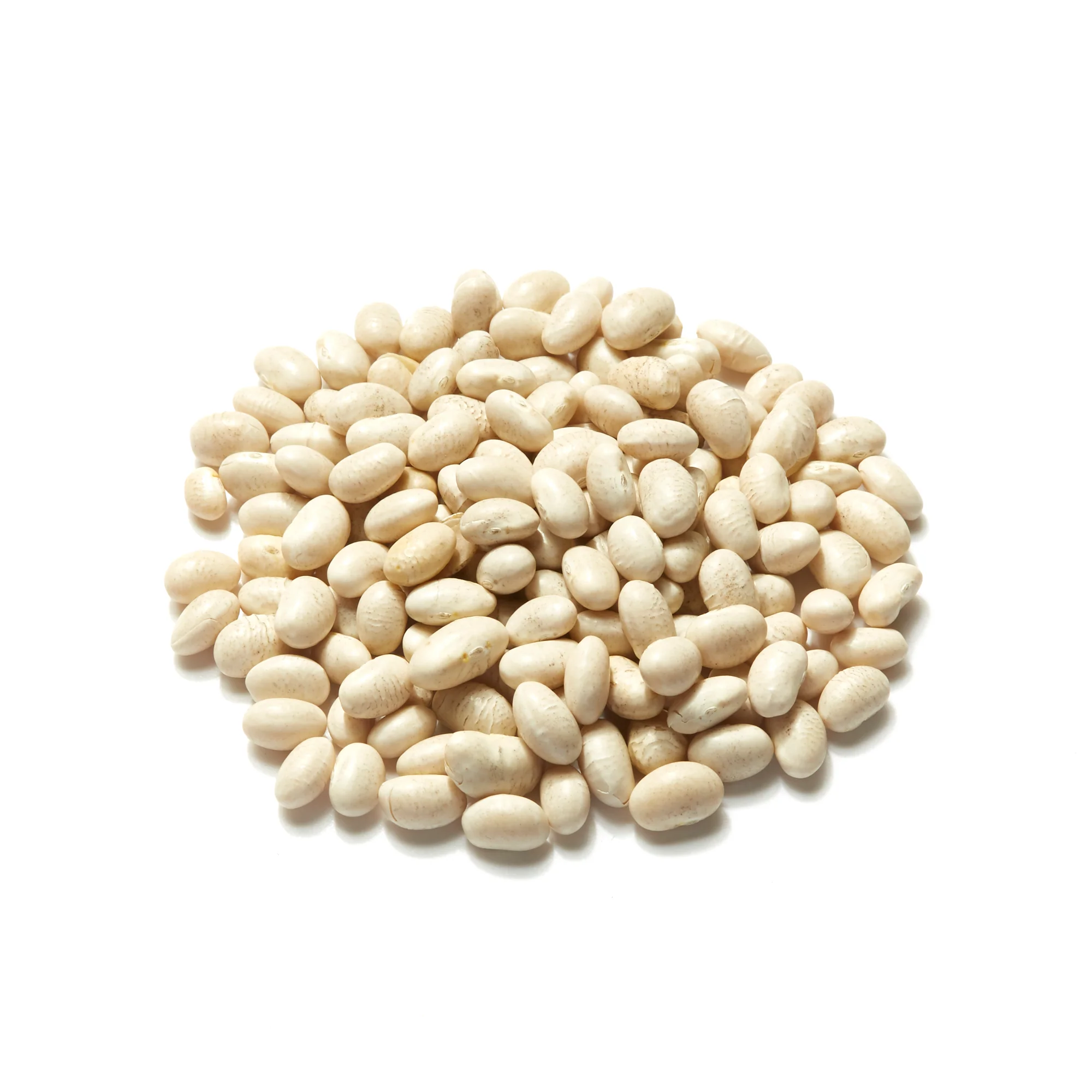 Haricot Beans