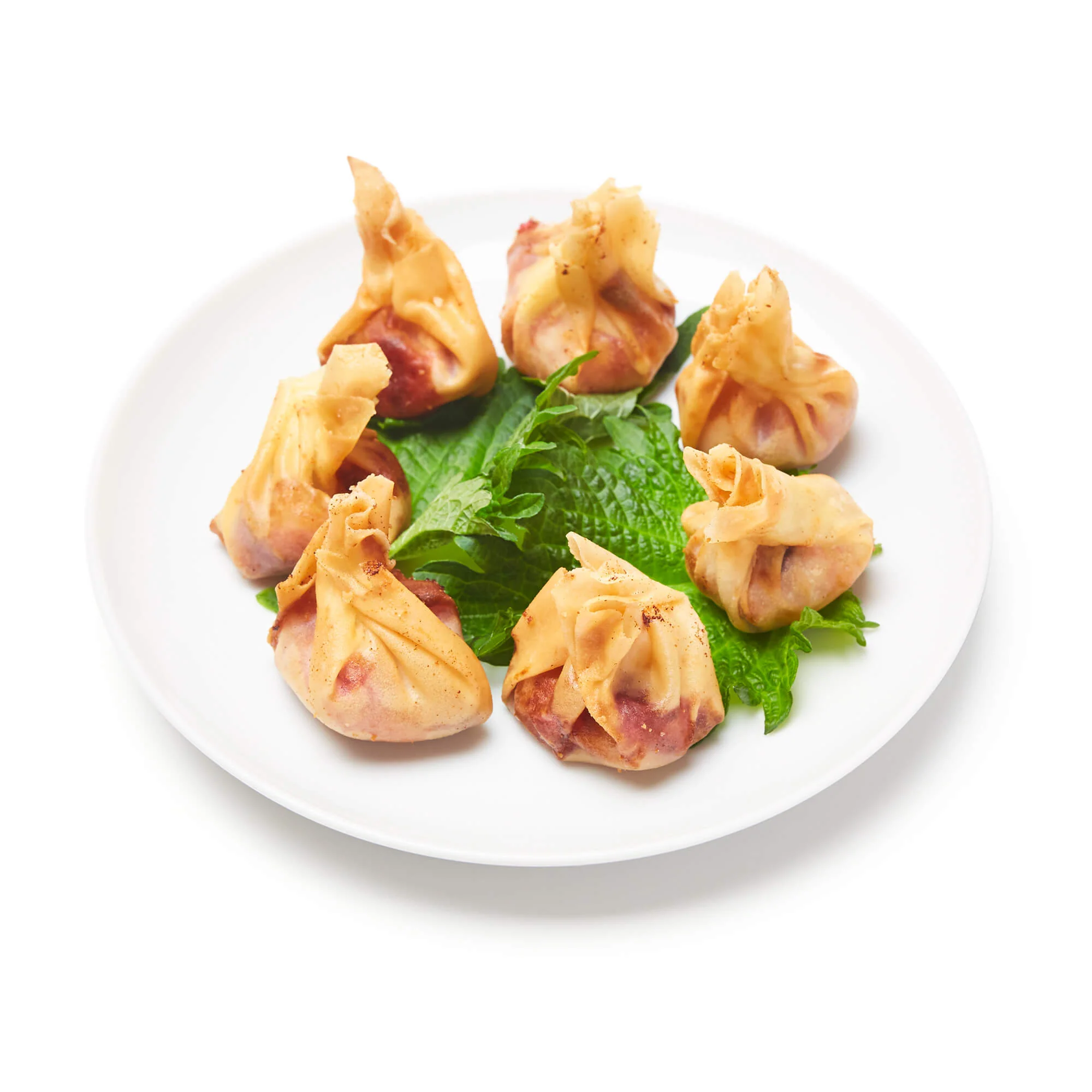 Wonton - Cranberry & Brie